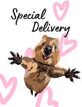Load image into Gallery viewer, Special Delivery Hug