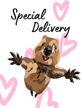 Load image into Gallery viewer, Special Delivery Hug

